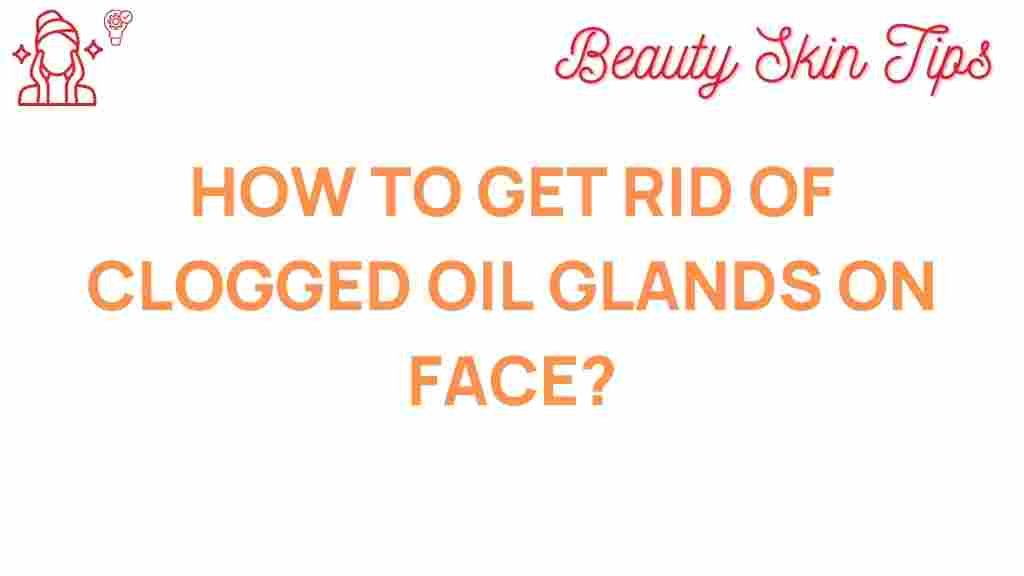 unclogging-oil-glands-face