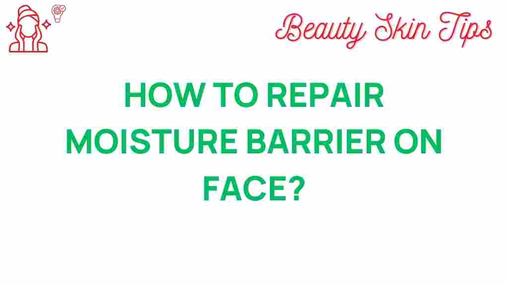 repair-moisture-barrier